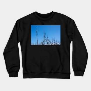 Bare branches Crewneck Sweatshirt